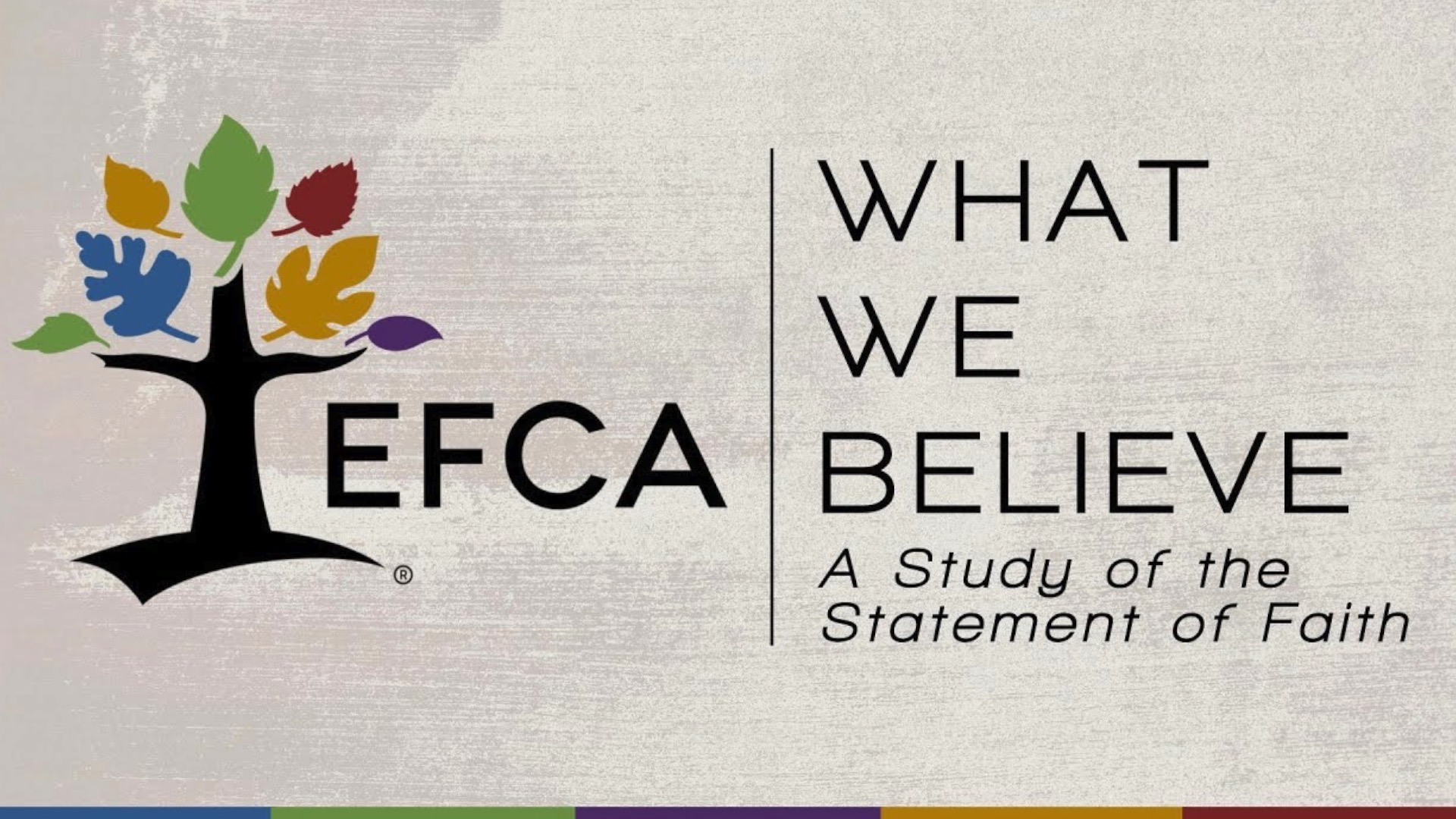 What We Believe: The Human Condition